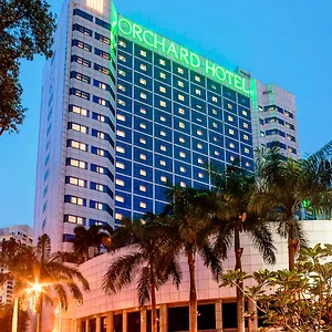 Hotel Orchard *****